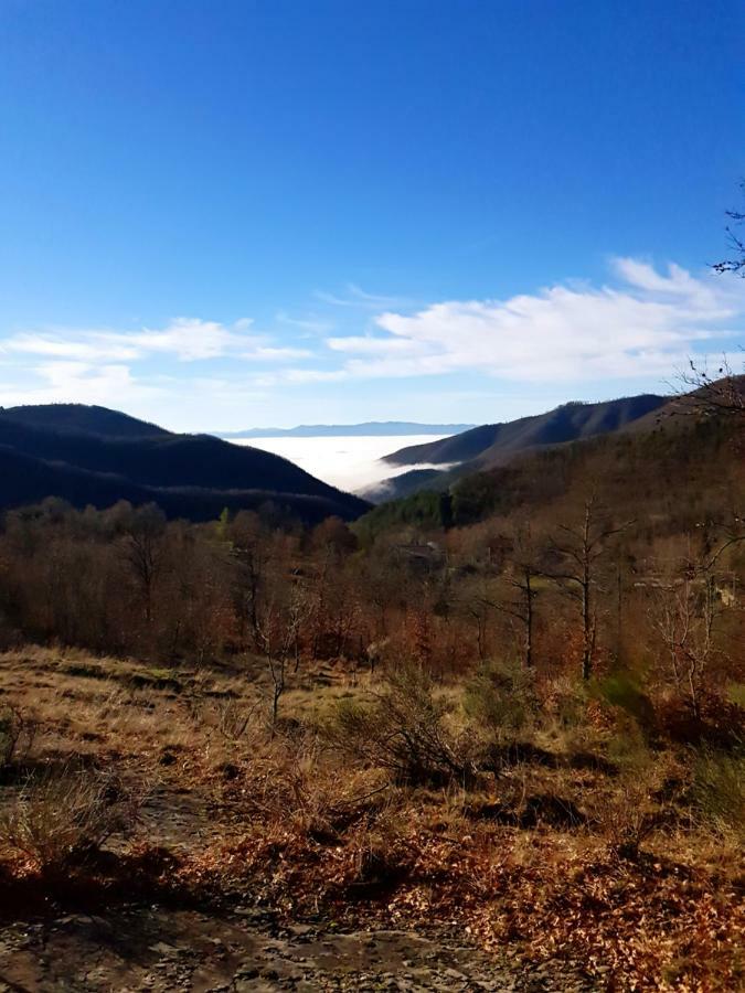 Alla Battuta Sansepolcro Kültér fotó
